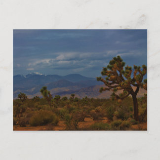 Joshua Tree View Postcard
