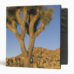 Joshua Tree, Yucca brevifolia), and granite Binder
