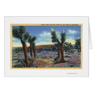 Joshua Trees and Desert Wild Flowers View