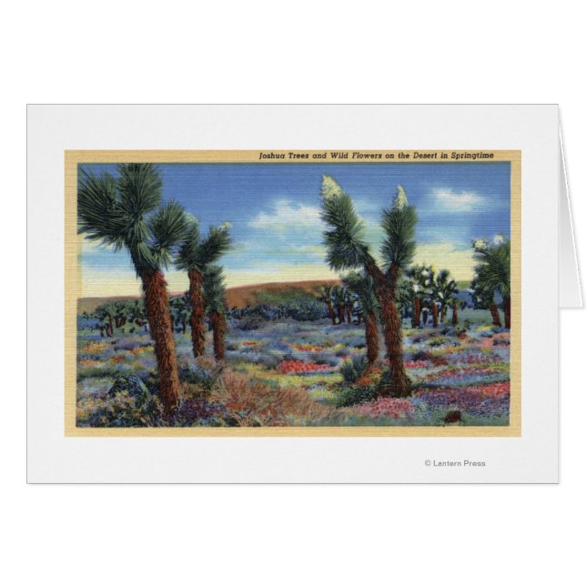 Joshua Trees and Desert Wild Flowers View (Front Horizontal)
