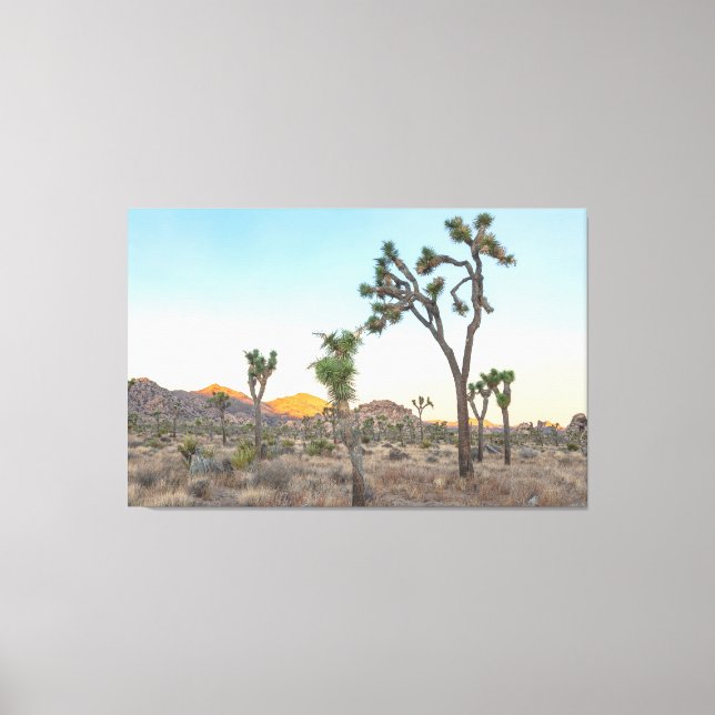 Joshua Trees at Sunrise Canvas Print (Front)