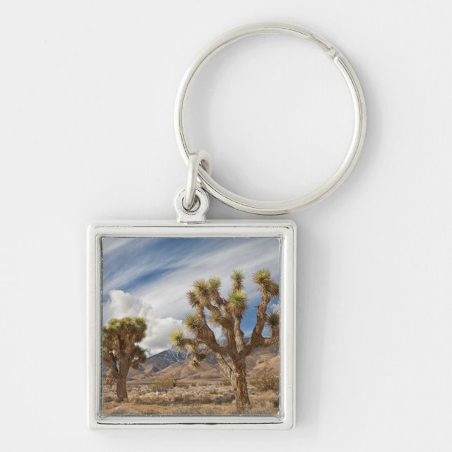 Joshua Trees in Desert Keychain (Front)