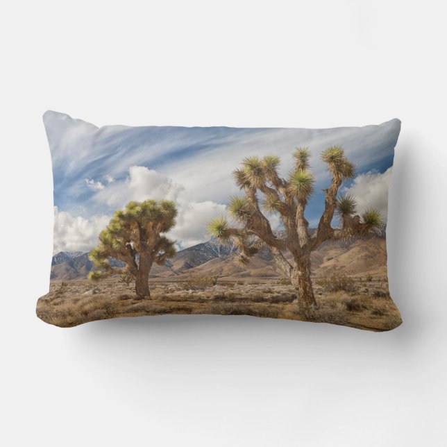 Joshua Trees in Desert Lumbar Pillow (Front)