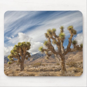 Joshua Trees in Desert Mouse Pad