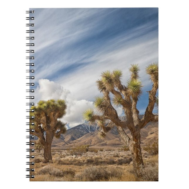 Joshua Trees in Desert Notebook (Front)