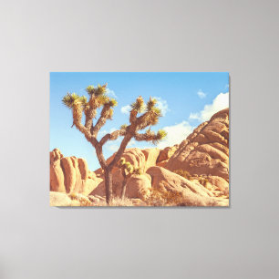 Joshua Trees Landscape with Rock Formations Canvas Print