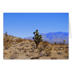 Joshua Trees, Mojave Desert, California