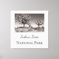 Joshua Trees National Park