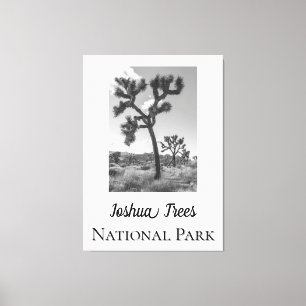 Joshua Trees National Park Canvas Print