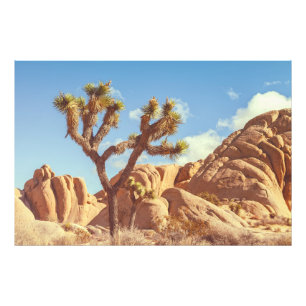 Joshua Trees National Park Landscape Scenery Photo Print