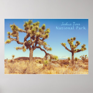 Joshua Trees National Park Poster