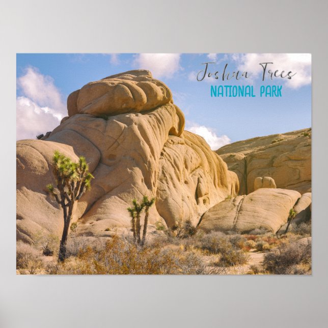 Joshua Trees National Park  Poster (Front)