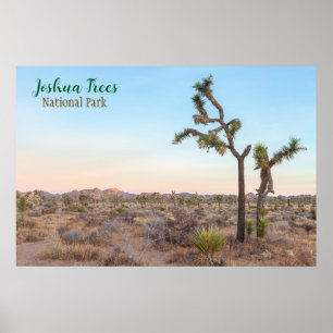 Joshua Trees Poster