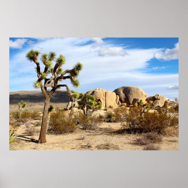 Joshue tree beautiful scenery poster (Front)