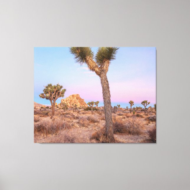 Josua Trees Sunrise Canvas Print (Front)