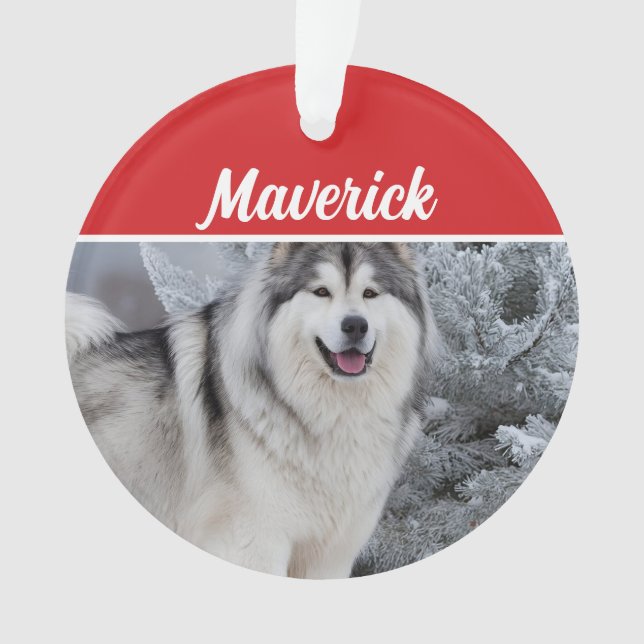 Jote Alaskan Malamute Chien de Noël (devant)