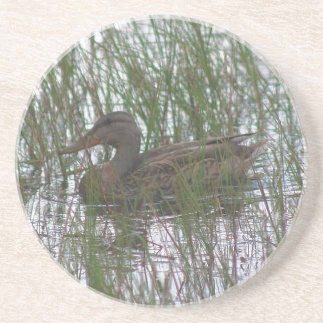 Jote Brown Canard Nature Dessous de verre de boiss (Devant)