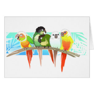 Joue verte Conures