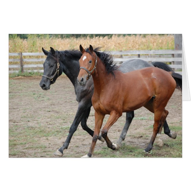 Jouer au cheval (Devant horizontal)
