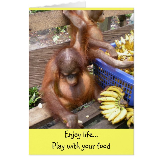 Jouer avec votre nourriture (Devant)