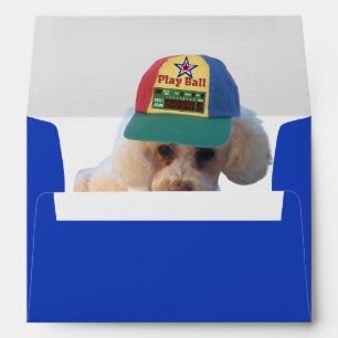 Jouer Des Enveloppes De Correspondance De Poodles
