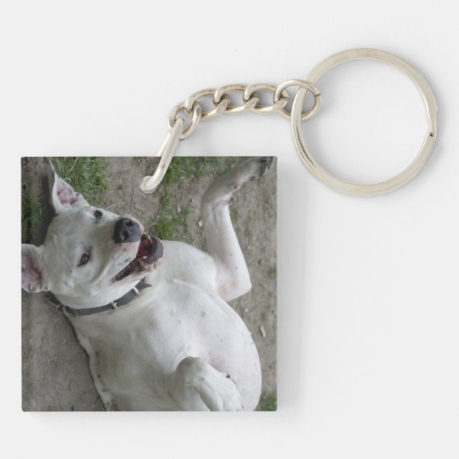 Jouer Dogo Argentino (Dos)