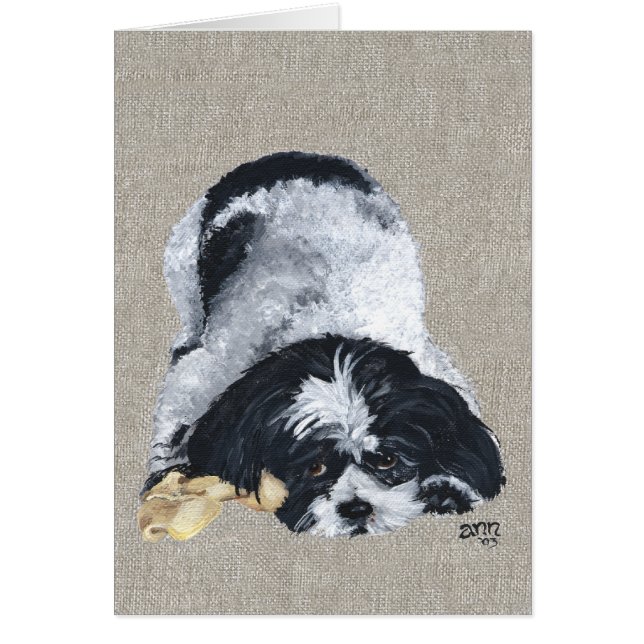 Jouer Shih Tzu (Devant)