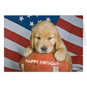 Jouet Golden Retriever sur le football pour annive