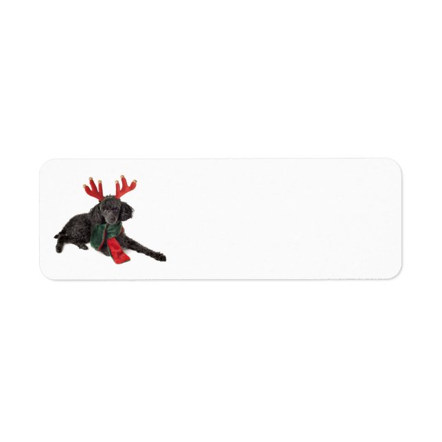 Jouet noir de Noël Chien de caniche habillé en ren (Devant)