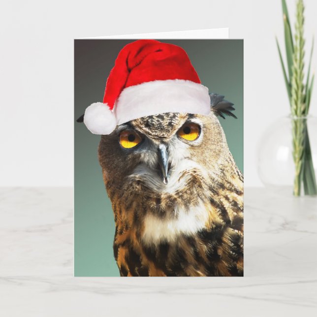 Jouets tordus de carte de Père Noël… non inclus ! (Devant)