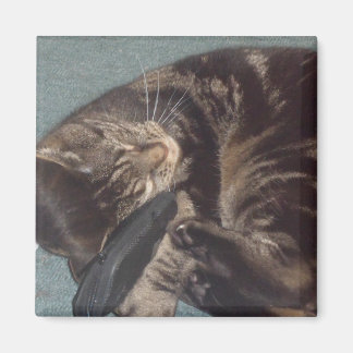 Joueur Dave 5.1 Cm Carré Magnet