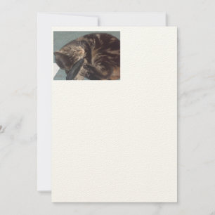 Joueur Dave Artisan : Sentiment Ecru Invitations