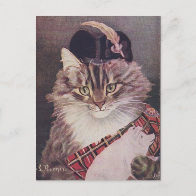 Joueur de cornemuse chat postcard (Front)