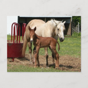 Jour 1 - Carte postale mère et fils