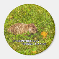 Jour de la marmotte annonce à vous! aimant