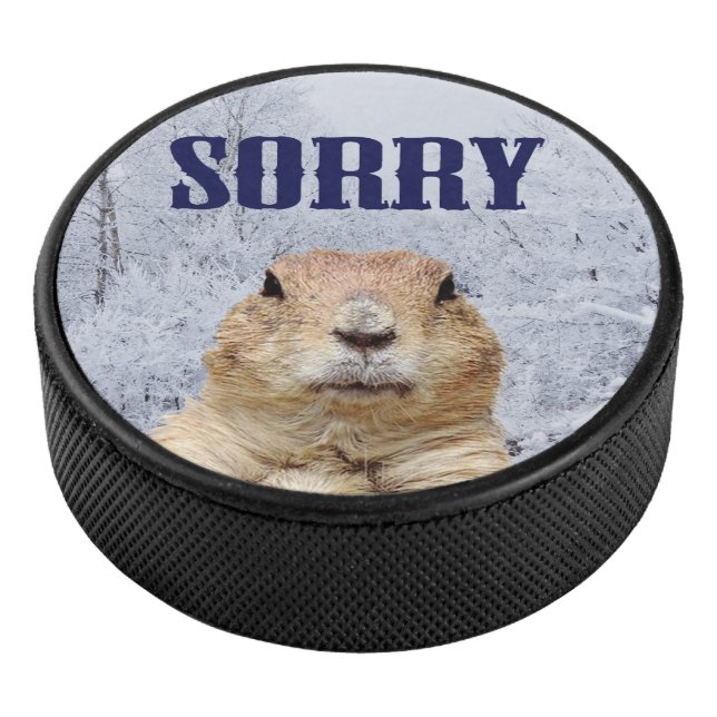 Jour de marmotte Désolés (3/4/2016 12:00:00 AM)