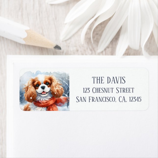 Jour de neige Cavalier roi Charles avec une écharp (En situation)