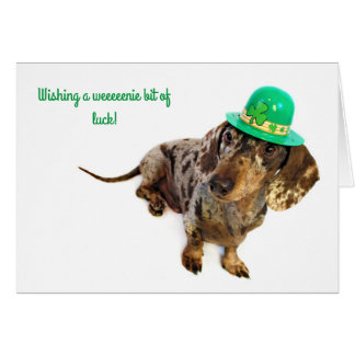 Jour de St Patty de teckel