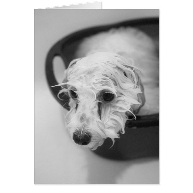 Jour du bain (Devant)