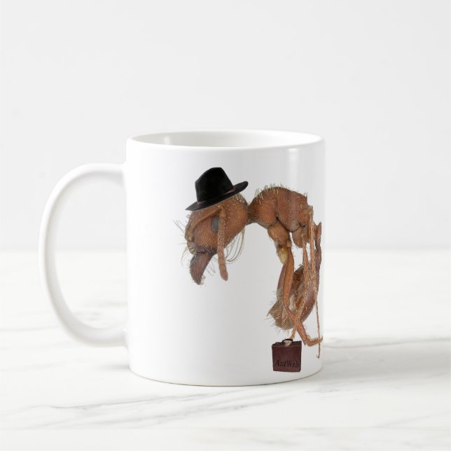 Jour dur d'AntWeb à la tasse de travail (Gauche)