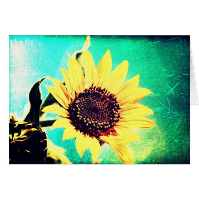 Jour ensoleillé (Devant horizontal)