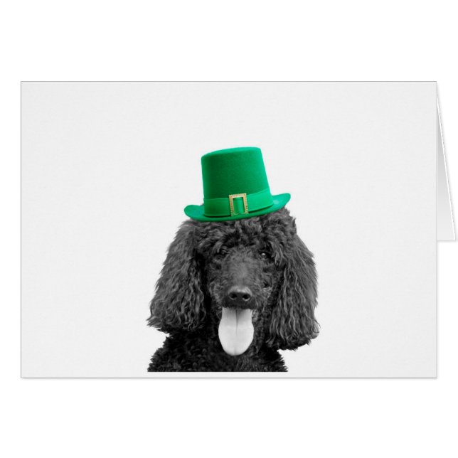 Jour Saint-Patrick Casquette de la Saint-Patrick (Devant horizontal)