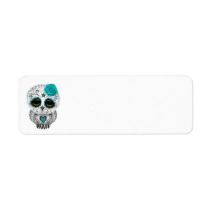 Jour turquoise mignon du hibou mort de crâne de
