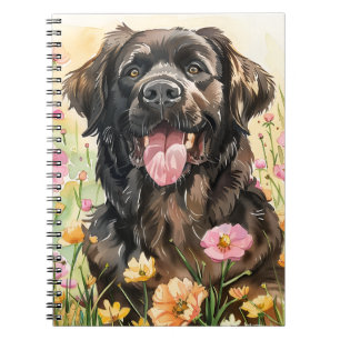 Journal aquarelle de Terre-Neuve