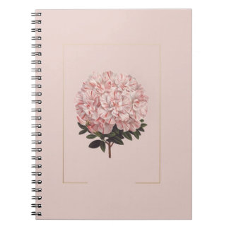 journal astique
