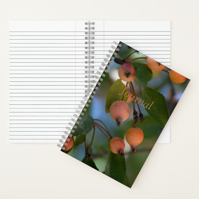 Journal - Automne (À l'intérieur)