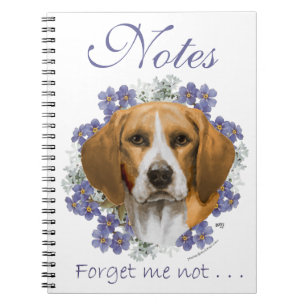 Journal Beagle