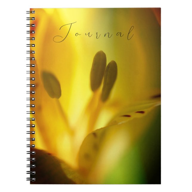 Journal Carnet spirale (Devant)