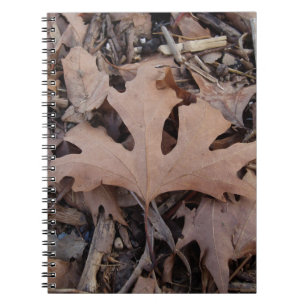 Journal d'automne