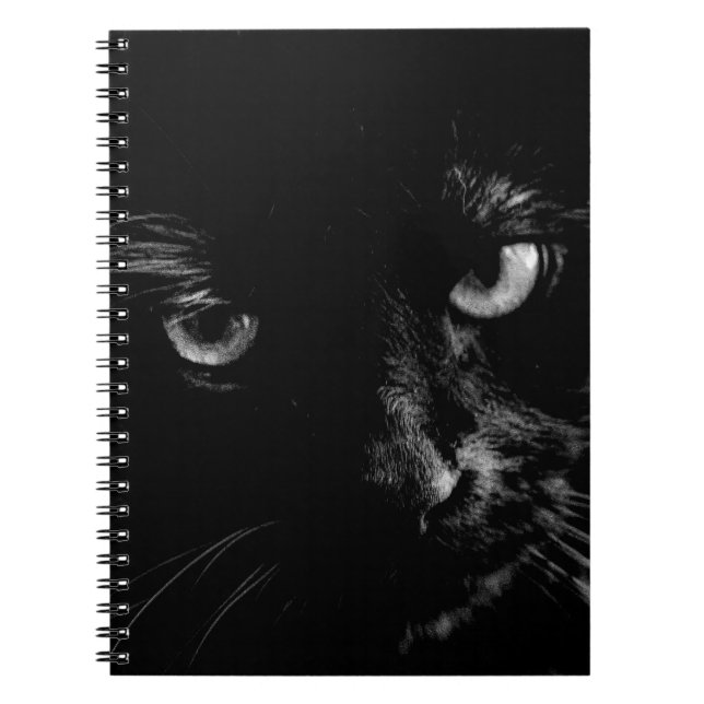 Journal de chat noir (Devant)
